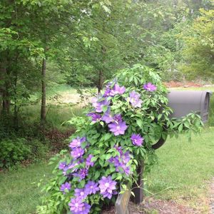 Meet your Posher, Deb